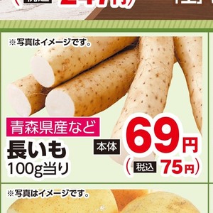 ながいも