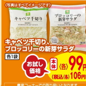 きゃべつ