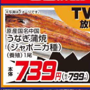 うなぎの蒲焼き