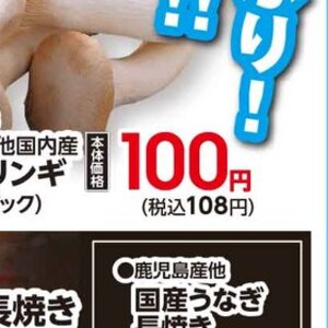 エリンギ