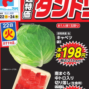 きゃべつ