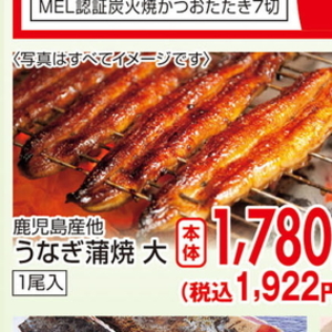 うなぎの蒲焼き