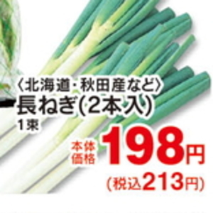 ながねぎ