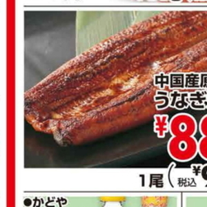 うなぎの蒲焼き