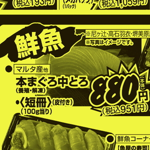 まぐろ中とろ