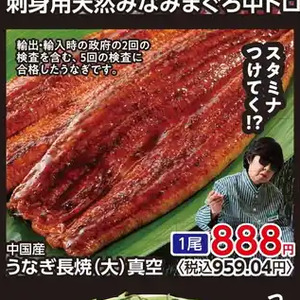 うなぎの蒲焼き