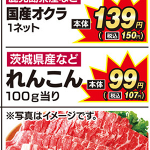 レンコン
