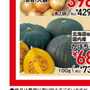たまねぎ