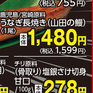 うなぎの蒲焼き