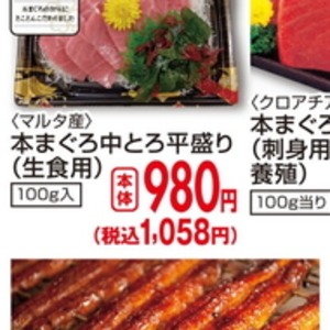 まぐろ中とろ