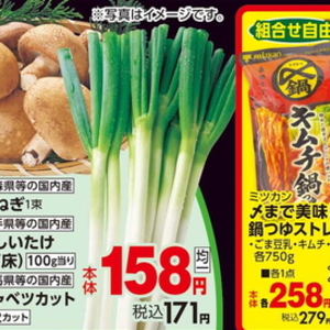 ながねぎ