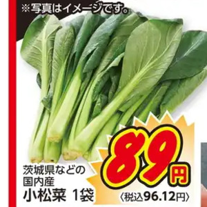 こまつ菜