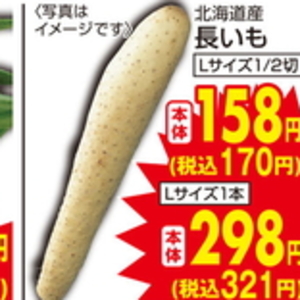 ながいも