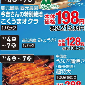 みょうが