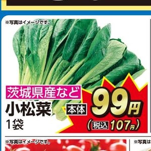 こまつ菜