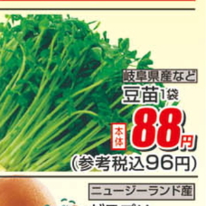 豆苗
