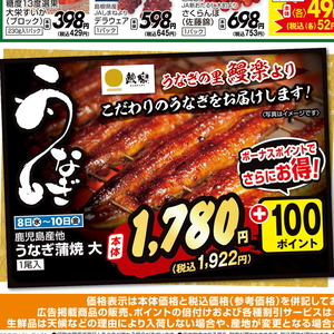 うなぎの蒲焼き
