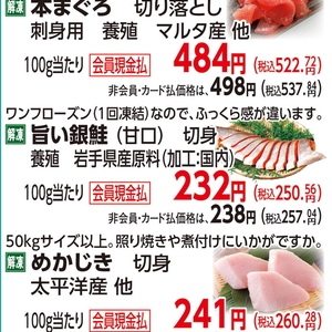 さけ（切り身）