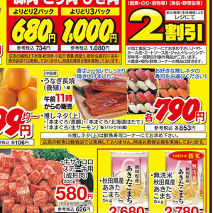 うなぎの蒲焼き