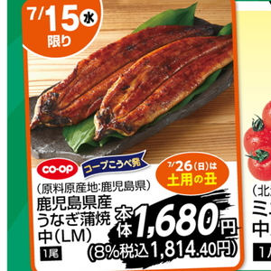 うなぎの蒲焼き