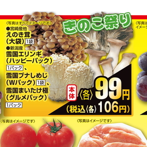 えのき茸