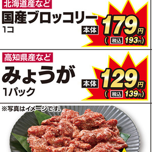 みょうが
