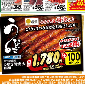 うなぎの蒲焼き