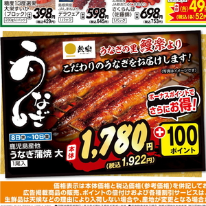 うなぎの蒲焼き
