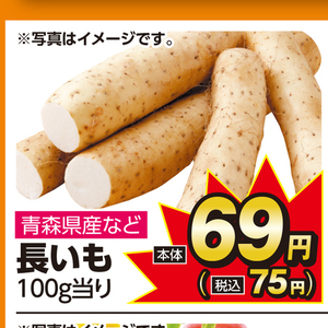 ながいも