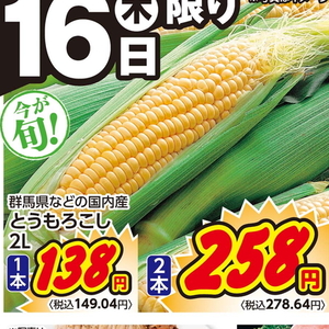 とうもろこし