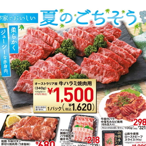牛肉ハラミ