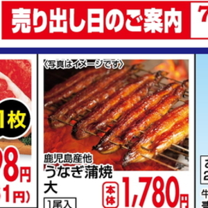 うなぎの蒲焼き
