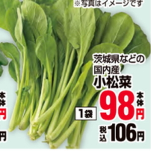 こまつ菜