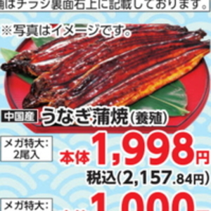 うなぎの蒲焼き