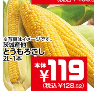 とうもろこし