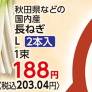 ながねぎ