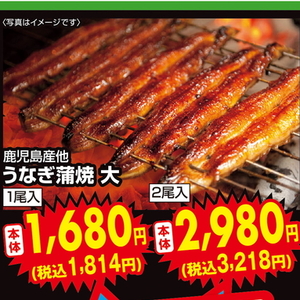 うなぎの蒲焼き