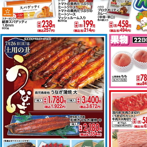 うなぎの蒲焼き