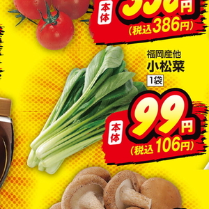 こまつ菜