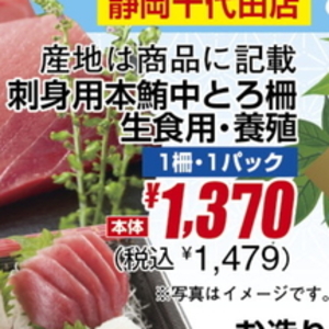 まぐろ中とろ