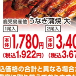 うなぎの蒲焼き