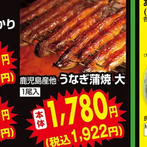 うなぎの蒲焼き