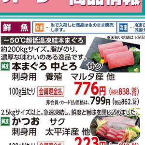 まぐろ中とろ