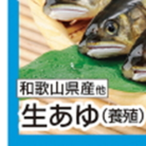 あゆ