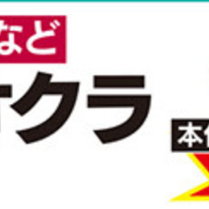 オクラ