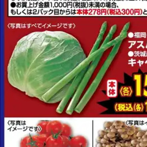 きゃべつ