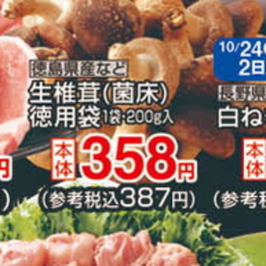 しいたけ