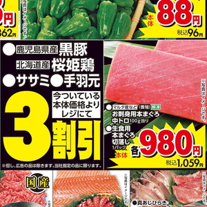 まぐろ中とろ