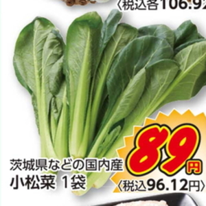 こまつ菜