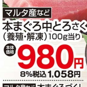 まぐろ中とろ